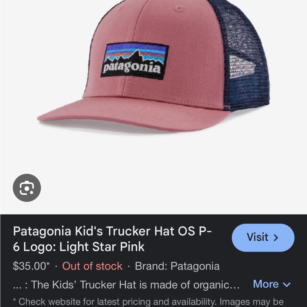 Patagonia Kids Trucker Hat - Pink and Blue